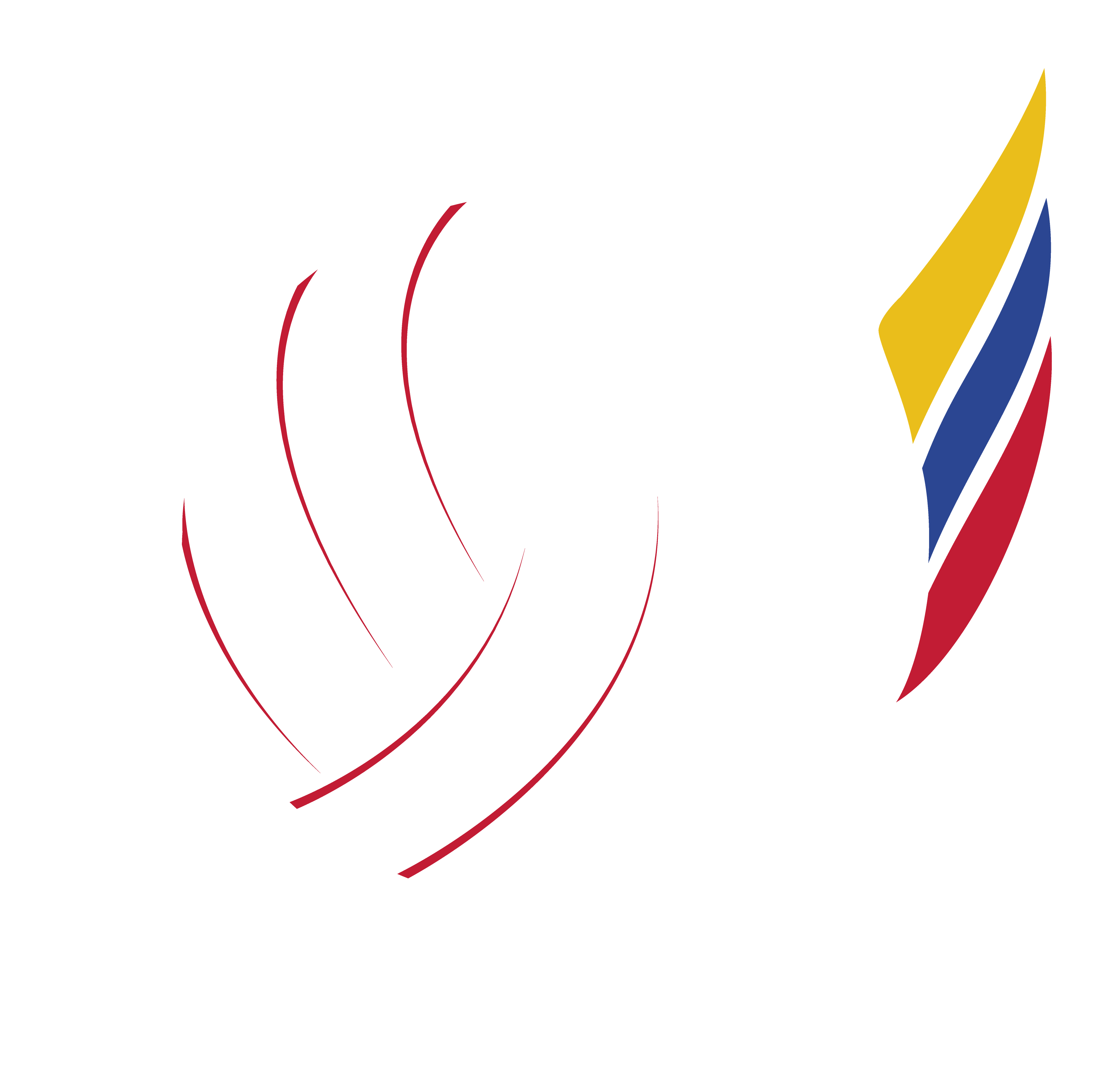 Wizard Volley Team